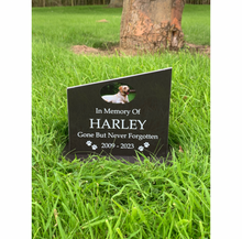 Pet memorial granite grave marker temporary headstone