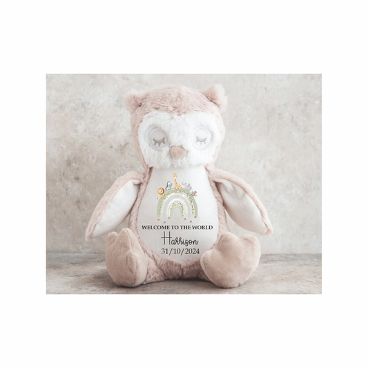 Personalised owl green rainbow teddy