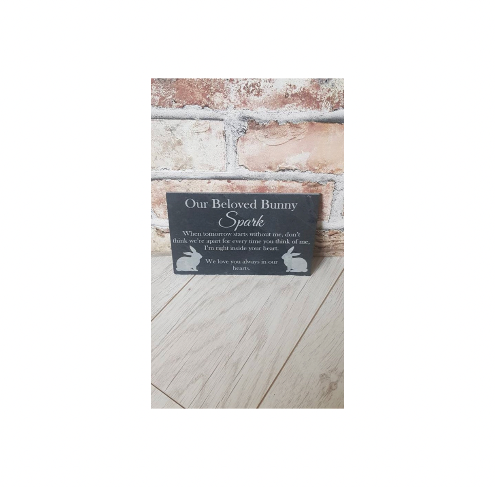 When tomorrow starts without me pet memorial plaque